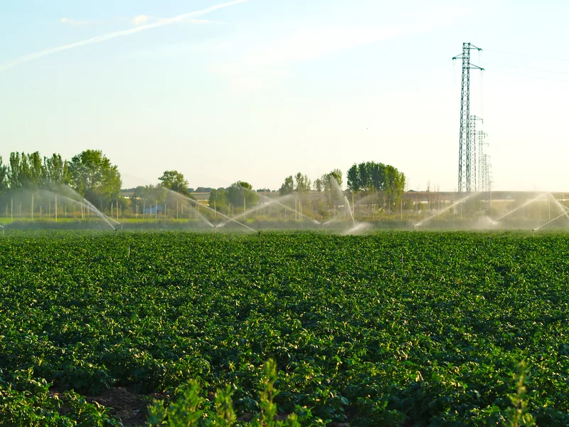 Irrigation