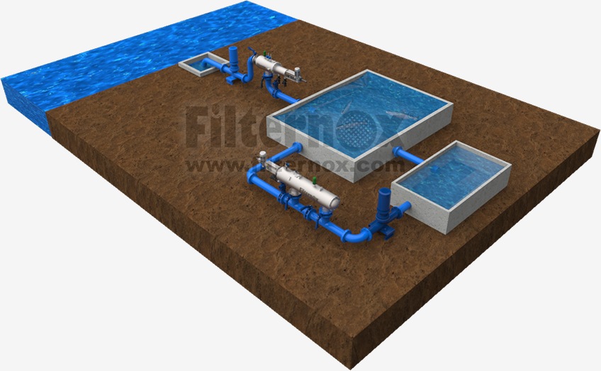 Fish Farm Water Purification